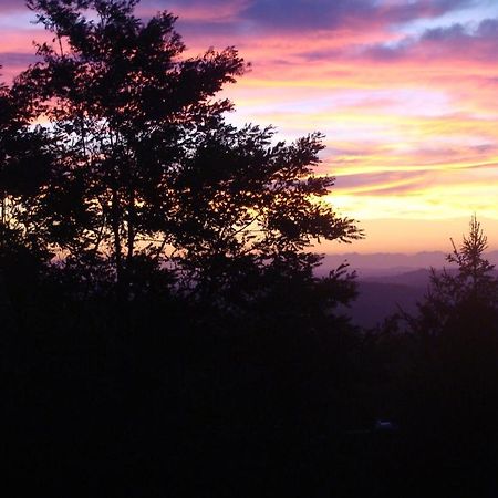 Forest View B&B Гави Экстерьер фото