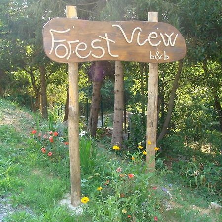 Forest View B&B Гави Экстерьер фото