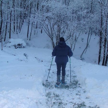 Forest View B&B Гави Экстерьер фото
