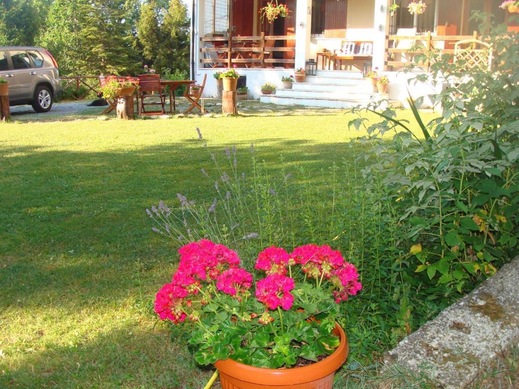 Forest View B&B Гави Экстерьер фото