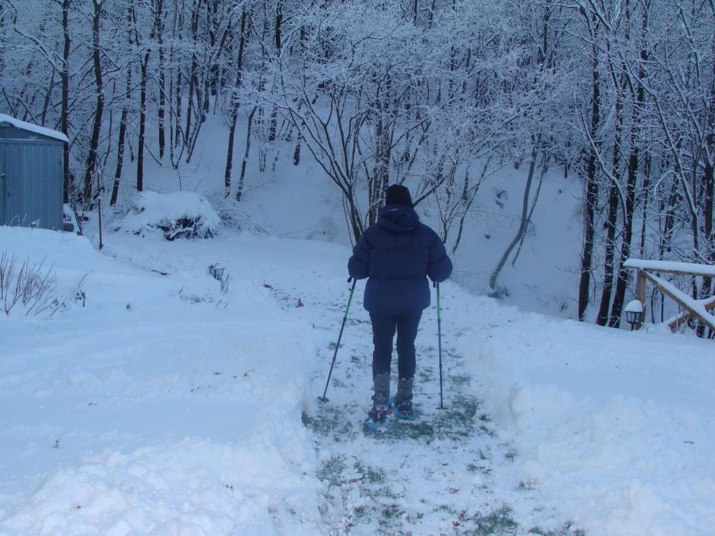 Forest View B&B Гави Экстерьер фото